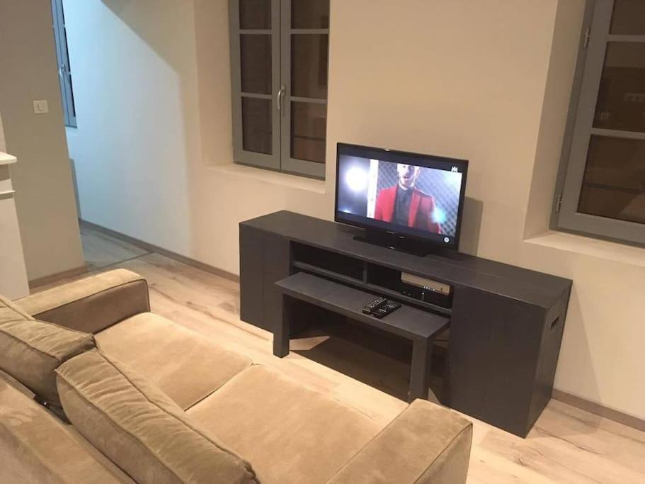 Appartement Touristique, Proche De La Cathedrale Albi Bagian luar foto