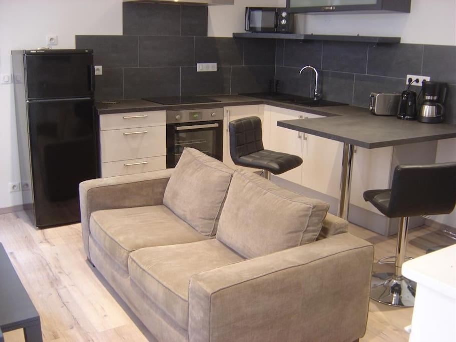 Appartement Touristique, Proche De La Cathedrale Albi Bagian luar foto